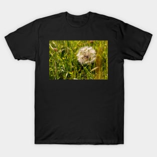 Dandelion Seed T-Shirt